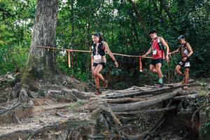 BIB: 
                            <button type="button" onclick="openModal(27803061)" class="btn btn-primary btn-sm float-right btn-popup" data-toggle="modal" data-target=".modal-high-quality">
                        <i class="fas fa-shopping-cart"></i> Add to Cart
                    </button>
                                            <button type="button" onclick="isThisMe(27803061, true)" class="btn btn-success btn-sm float-right btn-popup btn-isme hidden" data-toggle="tooltip" data-placement="bottom" title="นี่คือรูปของคุณใช่ไหม คลิกที่นี่เพื่อเอาเข้าอัลบั้ม">
                        <i class="fas fa-plus"></i> Add to album
                    </button>
                    <button type="button" onclick="isThisMe(27803061, false)" class="btn btn-warning btn-sm float-right btn-popup btn-isnotme hidden">
                        <i class="fas fa-ban"></i> Remove from album
                    </button>